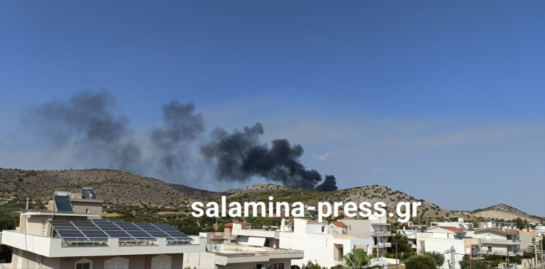 Πυρκαγιά κατακαίει δάσος στη Σαλαμίνα – Μεγάλη κινητοποίηση της Πυροσβεστικής – Μήνυμα από 112 για εκκένωση