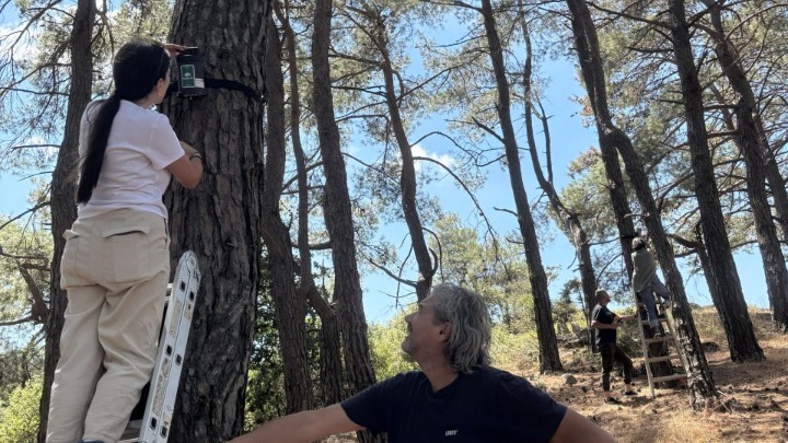 Θέρμη