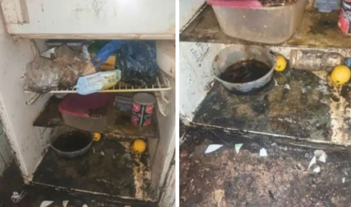 Καλλιθέα: Εφιαλτικές εικόνες σε διαμέρισμα μετά από 6 χρόνια ενοικίασης – Μούχλα, σκουπίδια και δυσοσμία (Βίντεο)