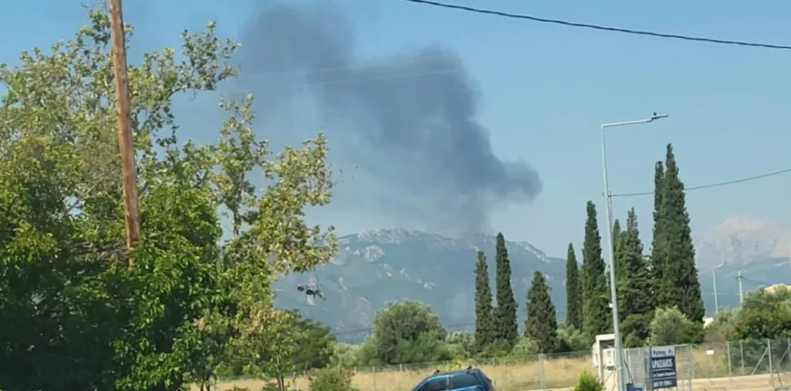 Φωτιά σε γεωργική έκταση στην Τροιζήνα