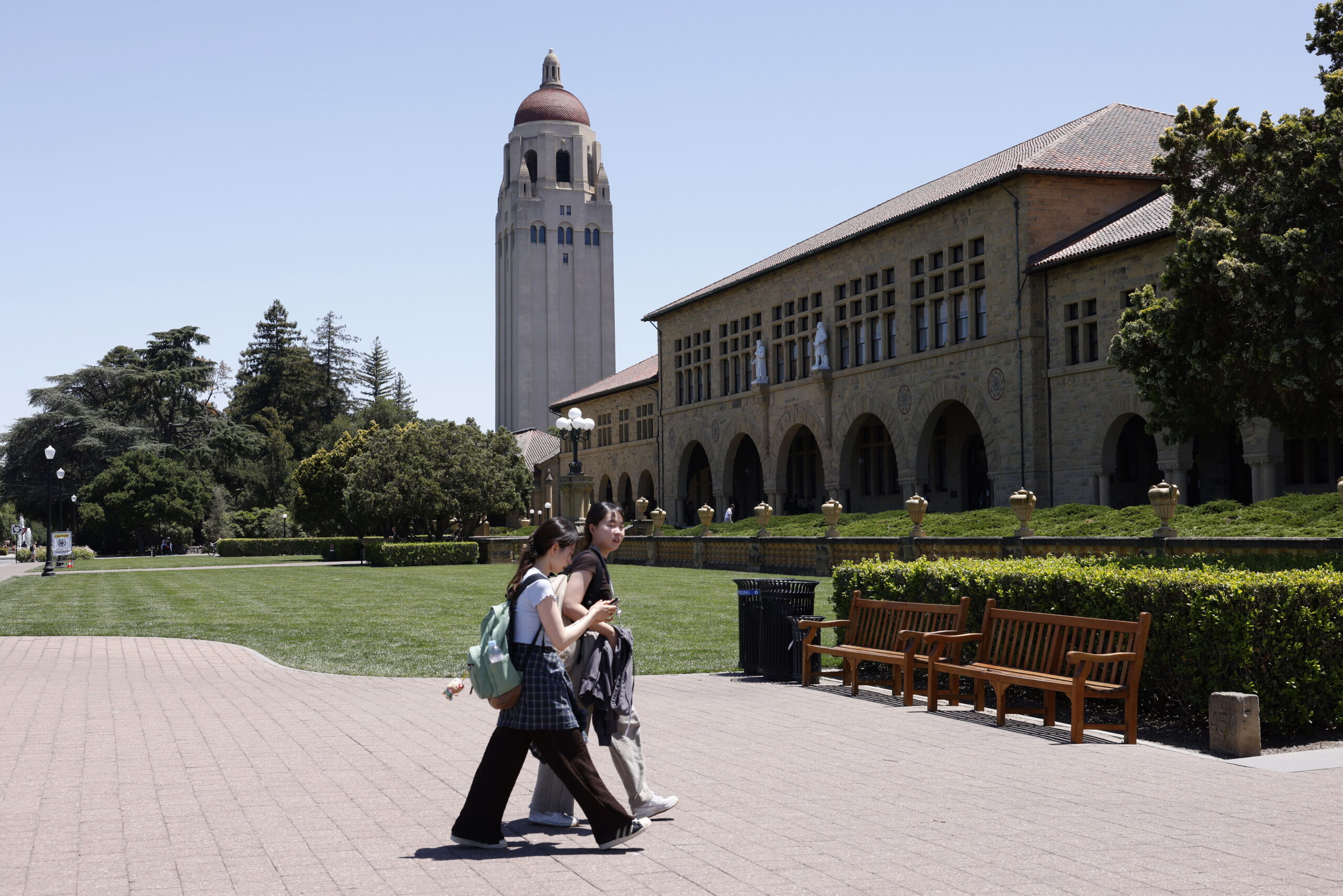 Stanford: Νέα μελέτη αλλάζει την εικόνα για την προέλευση του εγκεφάλου