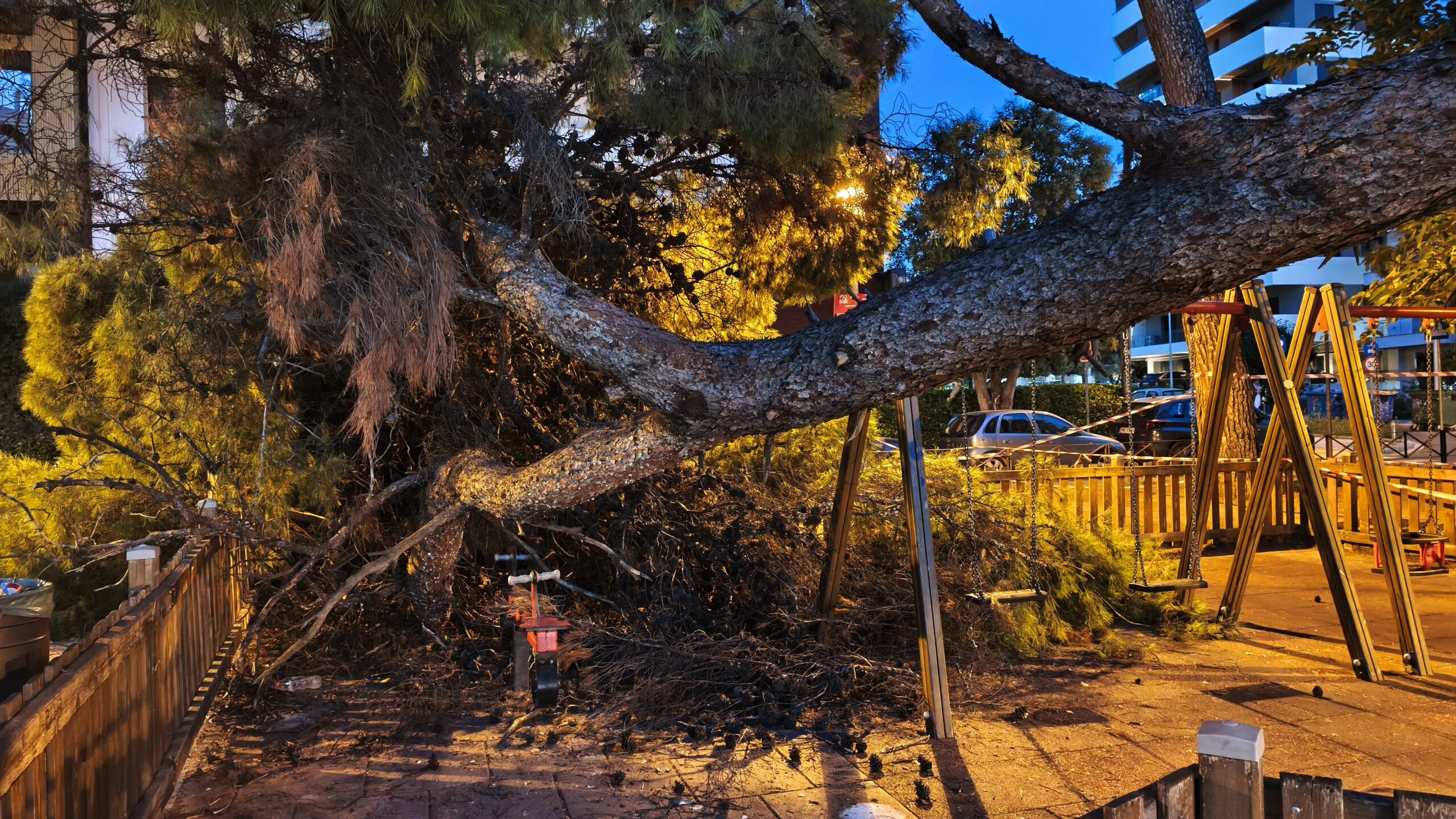 Καλαμαριά: Εισαγγελική έρευνα για την πτώση δέντρου που τραυμάτισε μητέρα και παιδί