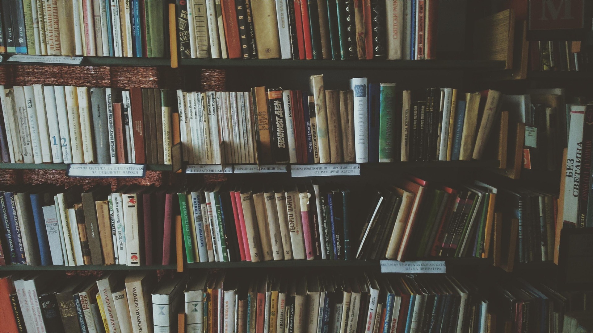 «Book Doofs»: Tα βιβλία ενώνουν – Τα πάρτι ανάγνωσης ήρθαν για να μείνουν