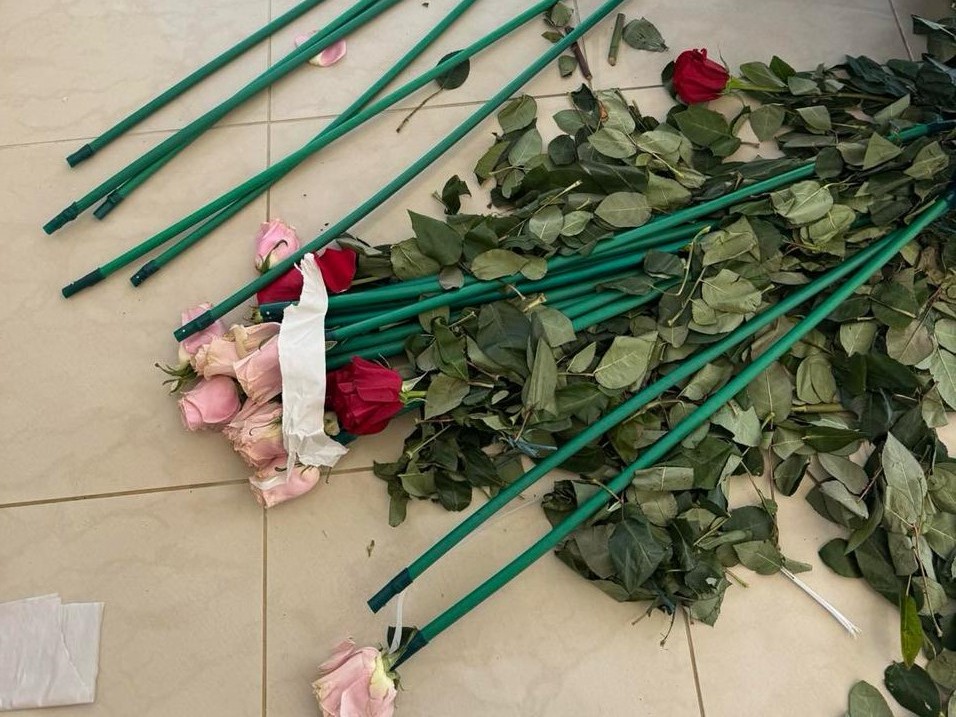 Τα τριαντάφυλλα έκρυβαν κοκαΐνη