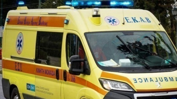Χαλκιδική: Συναγερμός για επίθεση άγριου ζώου σε 5χρονο