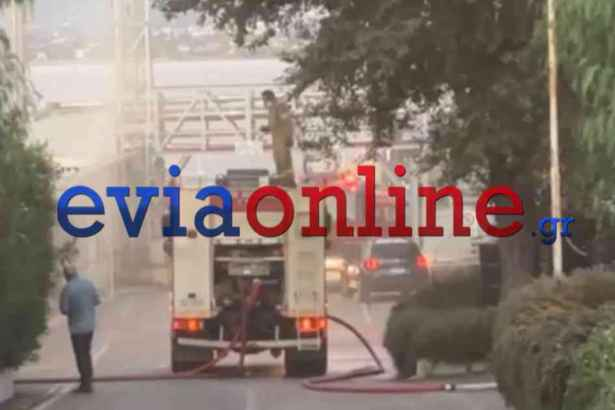 Αυλίδα: Υπό έλεγχο η φωτιά στο εργοστάσιο χημικών – Απεγκλωβίστηκε εγκαίρως ένα άτομο (Βίντεο)