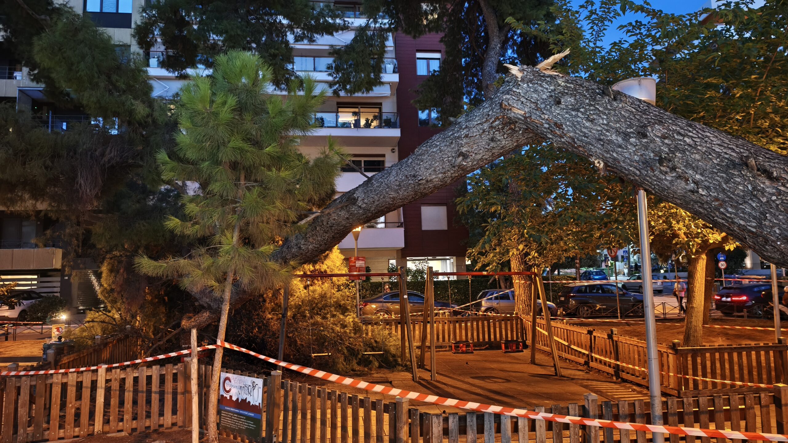 Θεσσαλονίκη: Πτώση δέντρου σε παιδική χαρά – Tι λέει η μητέρα για το περιστατικό (Βίντεο)