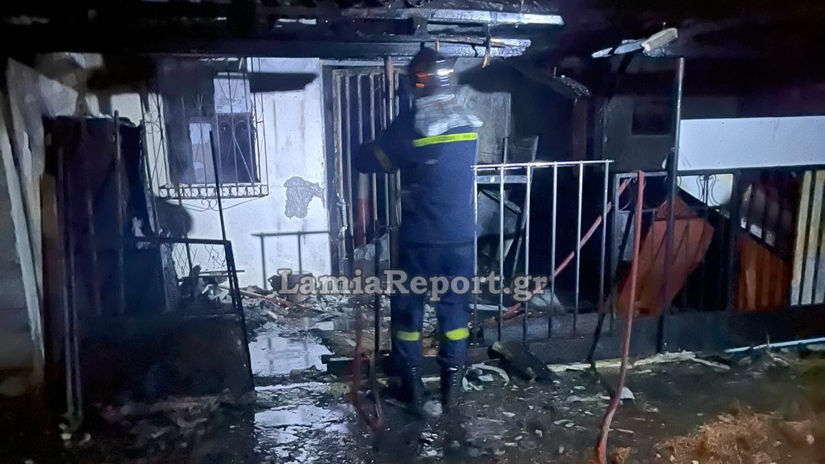 Φθιώτιδα: Νεκρή από εισπνοή καπνού 32χρονη γυναίκα – Υπέκυψε και το κατοικίδιό της