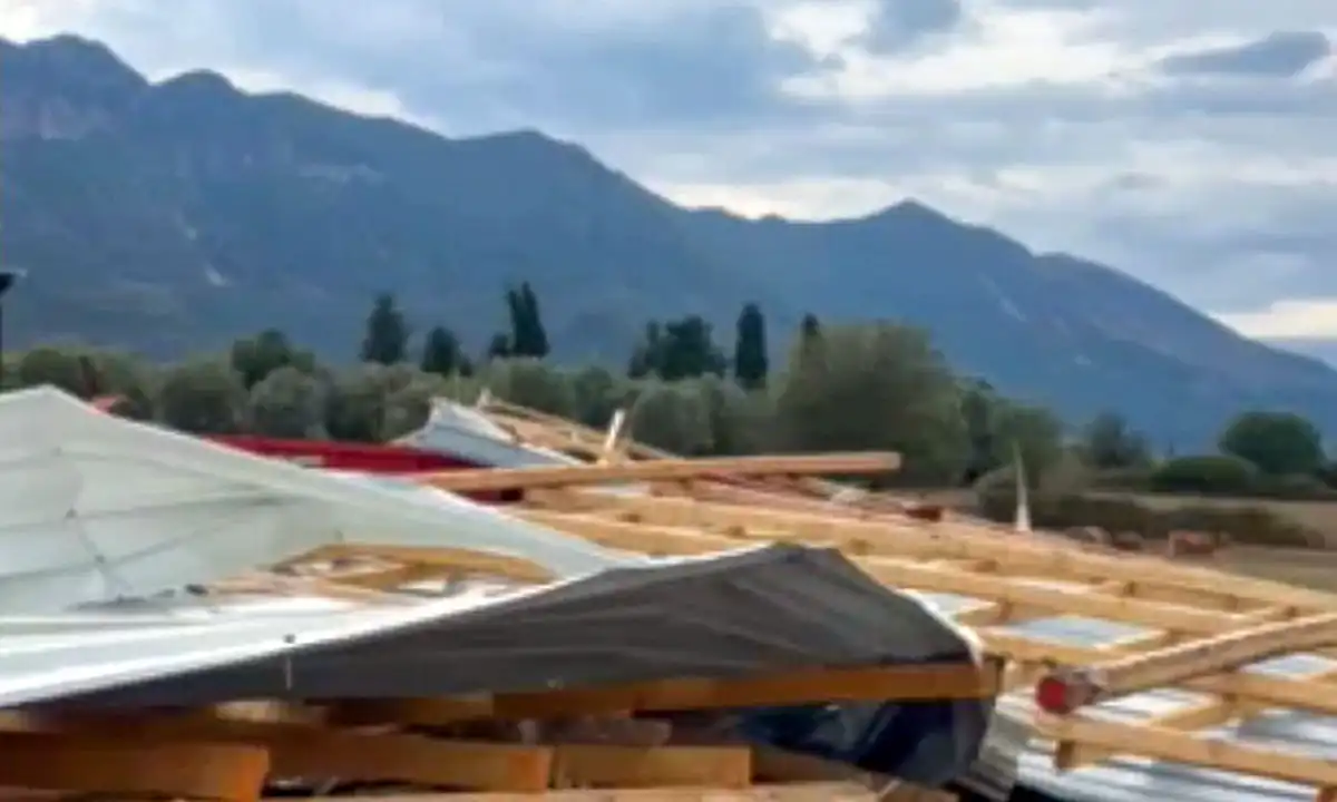 Κακοκαιρία σε εξέλιξη: Νεκρό κοπάδι από κεραυνό στα Ιωάννινα – Στο Σούλι ισοπεδώθηκε κτηνοτροφική μονάδα (Bίντεο)