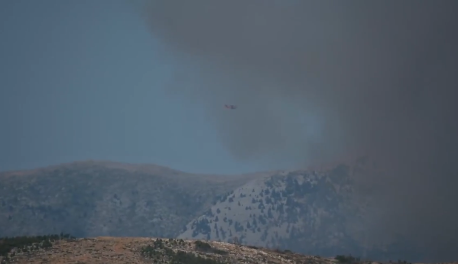Χανιά: Πυρκαγιά σε αγροτοδασική έκταση στο Αμμουδάρι