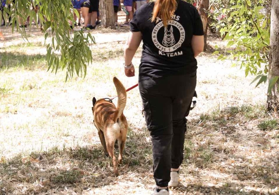 Πεντέλη: Έξωση της ANUBIS K9 που συμμετείχε στις έρευνες των Τεμπών – «Ήταν υποχρεωτική απόφαση, όχι πολιτική επιλογή»