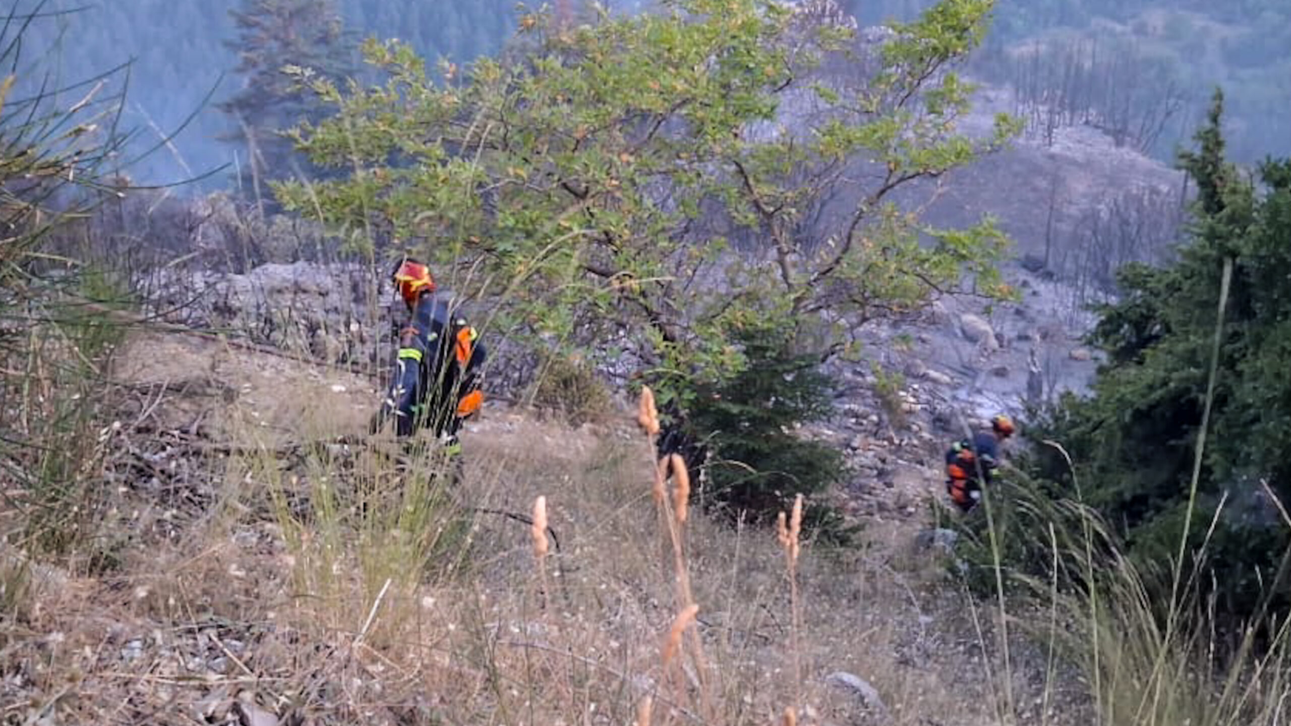 Χωρίς ενεργό μέτωπο η φωτιά σε δασική έκταση στη Μηλίτσα Μεσσηνίας
