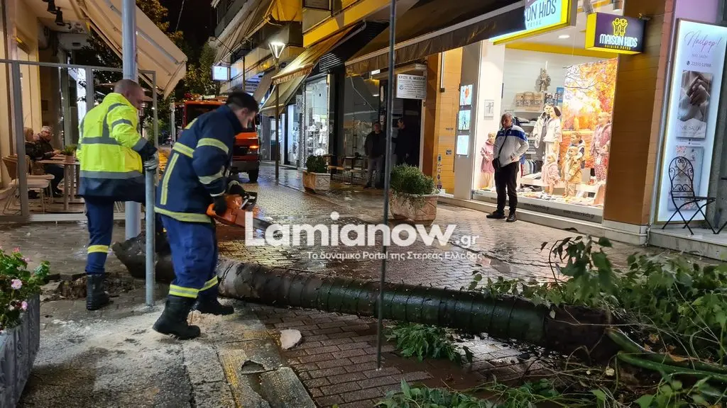 Λαμία: Δέντρο έπεσε δίπλα σε περαστικό – Σώθηκε την τελευταία στιγμή (Εικόνες & Βίντεο)