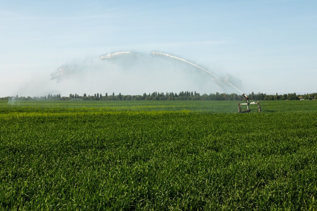 A lush green field being irrigated with a modern water sprinkler system under a clear sky.