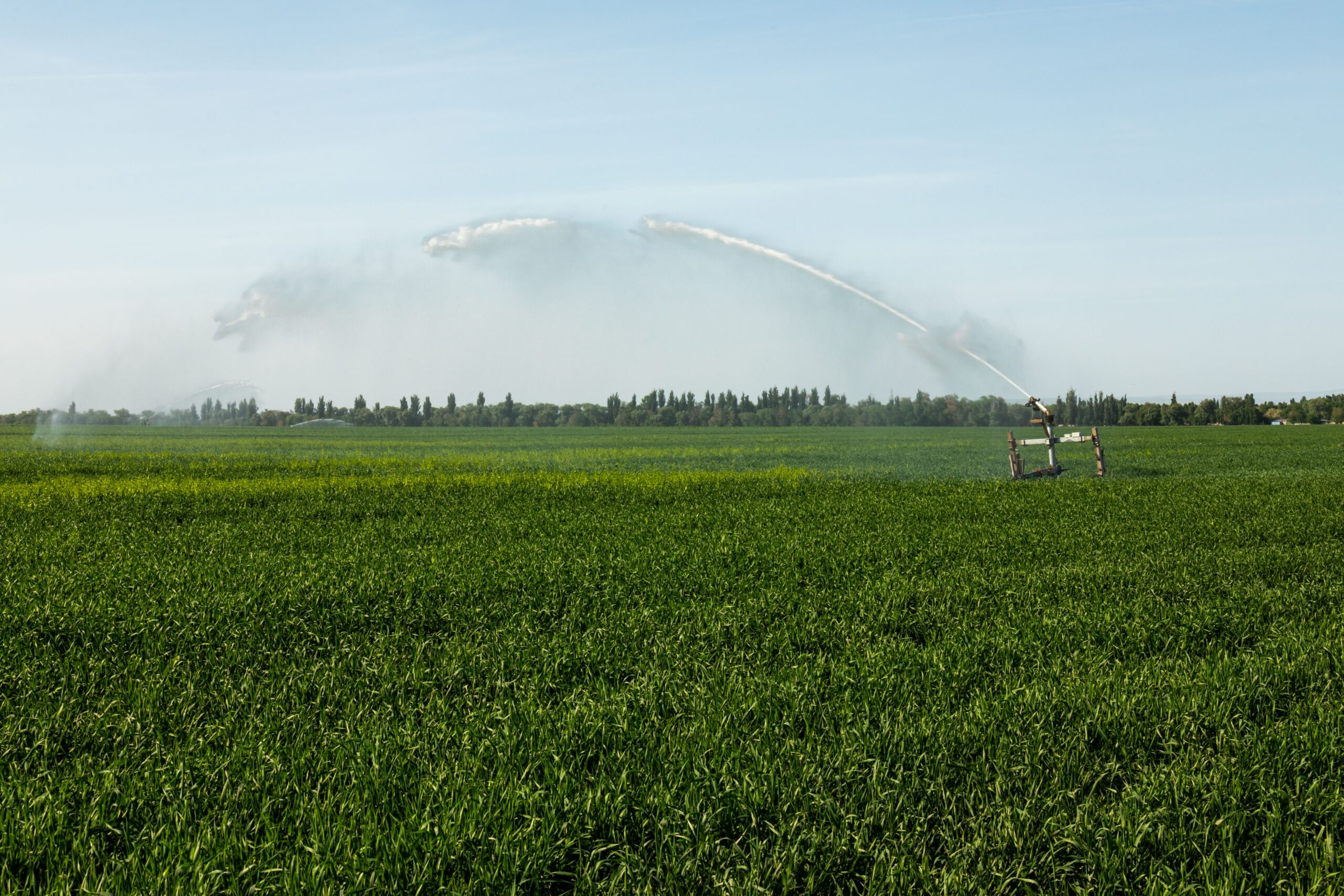 A lush green field being irrigated with a modern water sprinkler system under a clear sky.